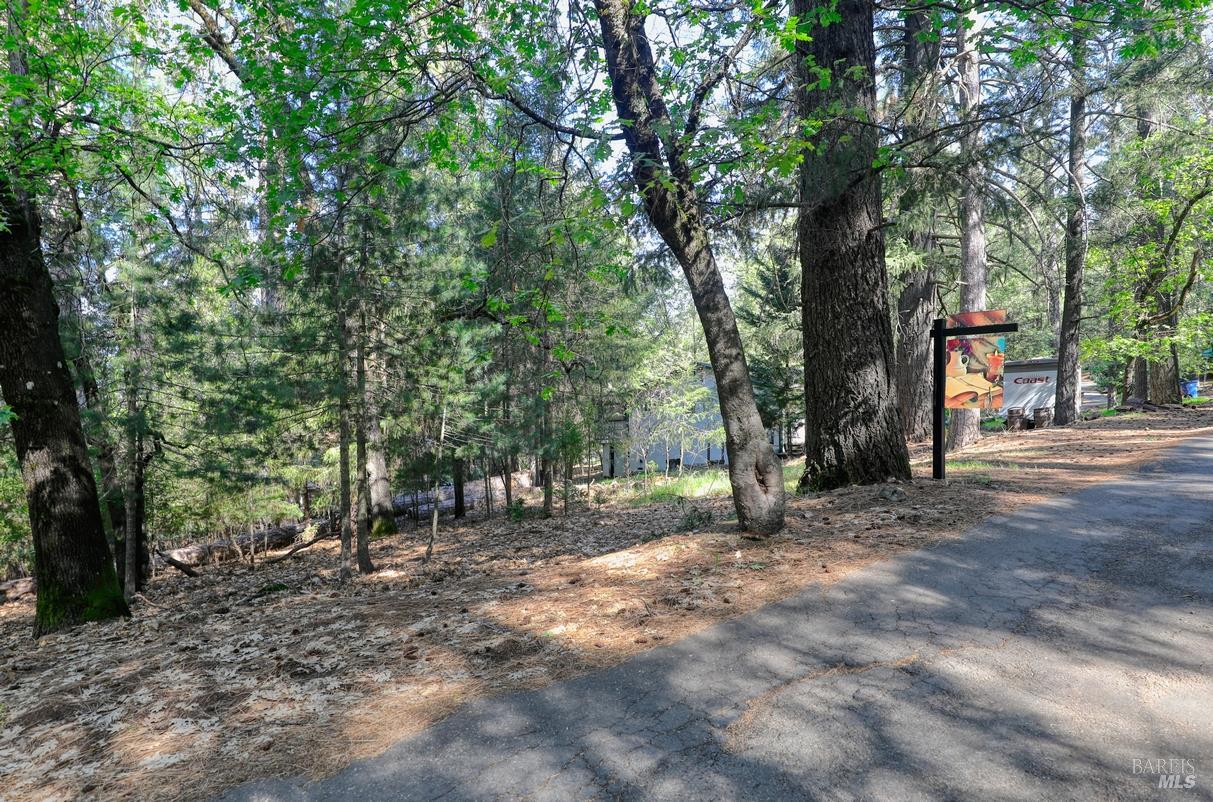 a view of outdoor space with trees
