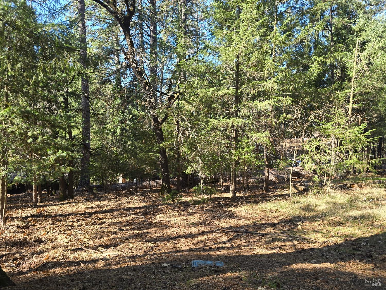 16303 Niblick Road Cobb, CA 95426 - Photo 11 of 13 a view of outdoor space with deck and trees