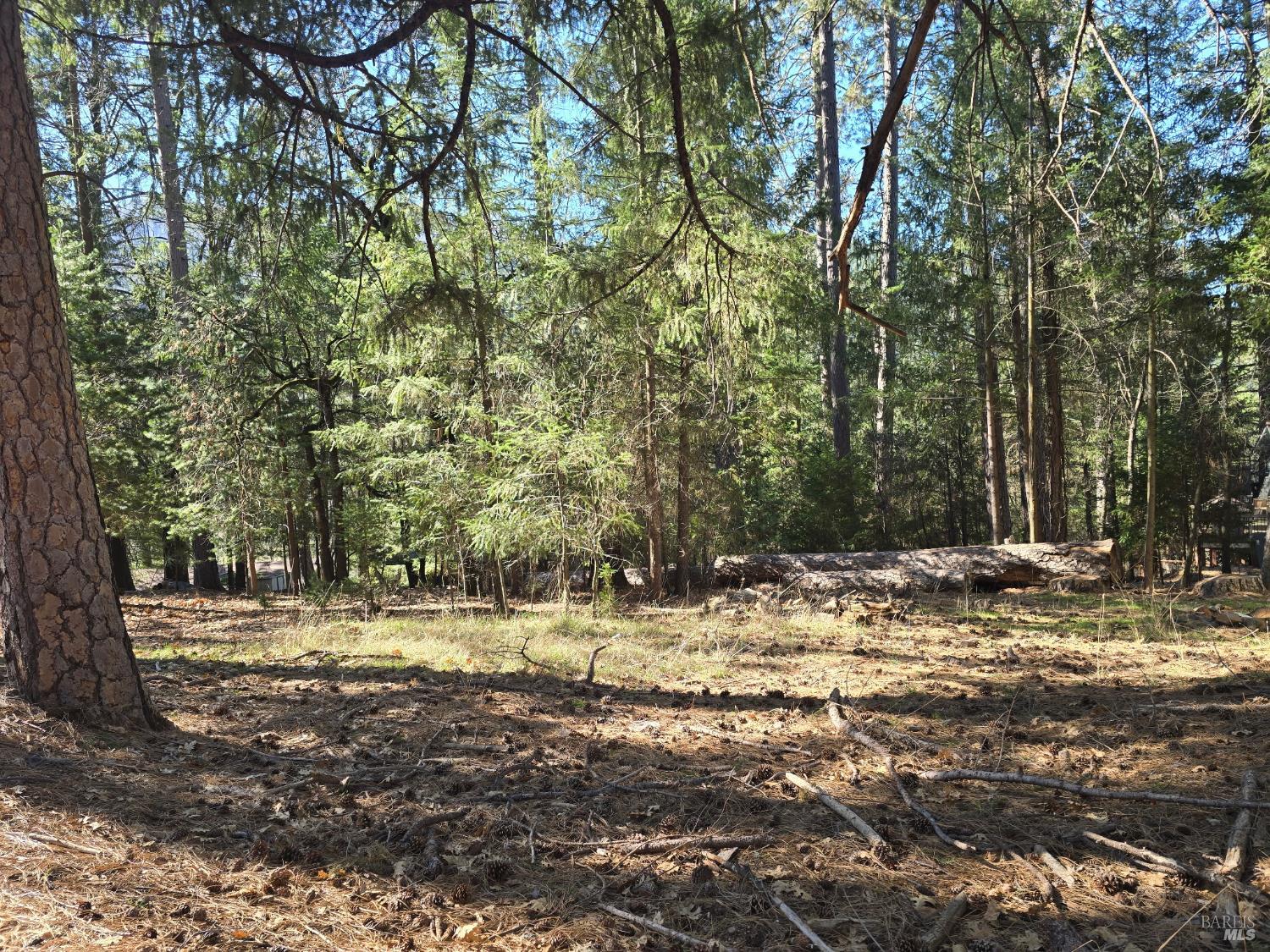 16303 Niblick Road Cobb, CA 95426 - Photo 13 of 13 a view of a yard with trees