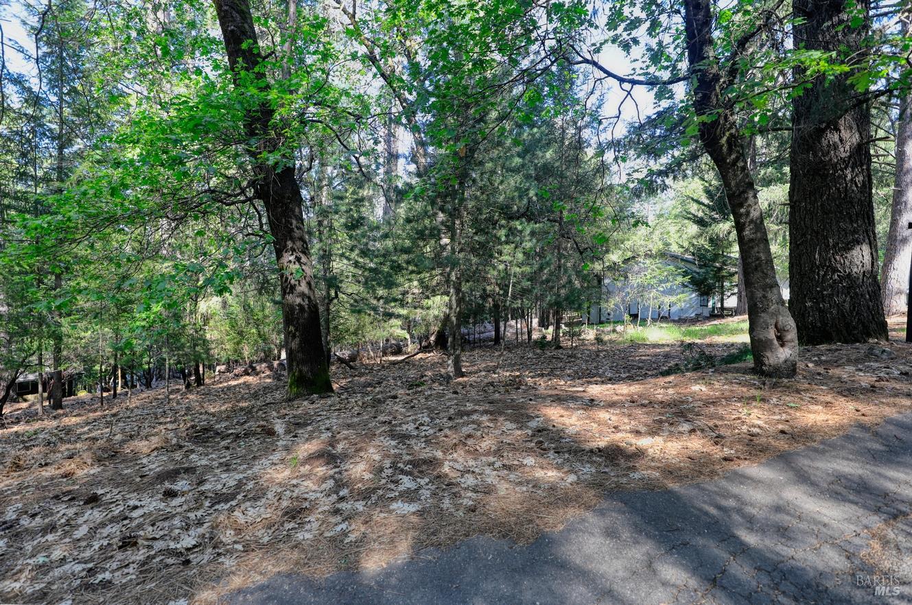 16303 Niblick Road Cobb, CA 95426 - Photo 2 of 13 a view of a tree in the middle of a yard