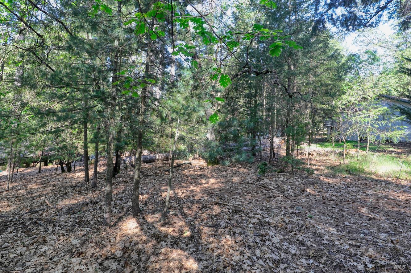 16303 Niblick Road Cobb, CA 95426 - Photo 7 of 13 a backyard of a house with lots of green space