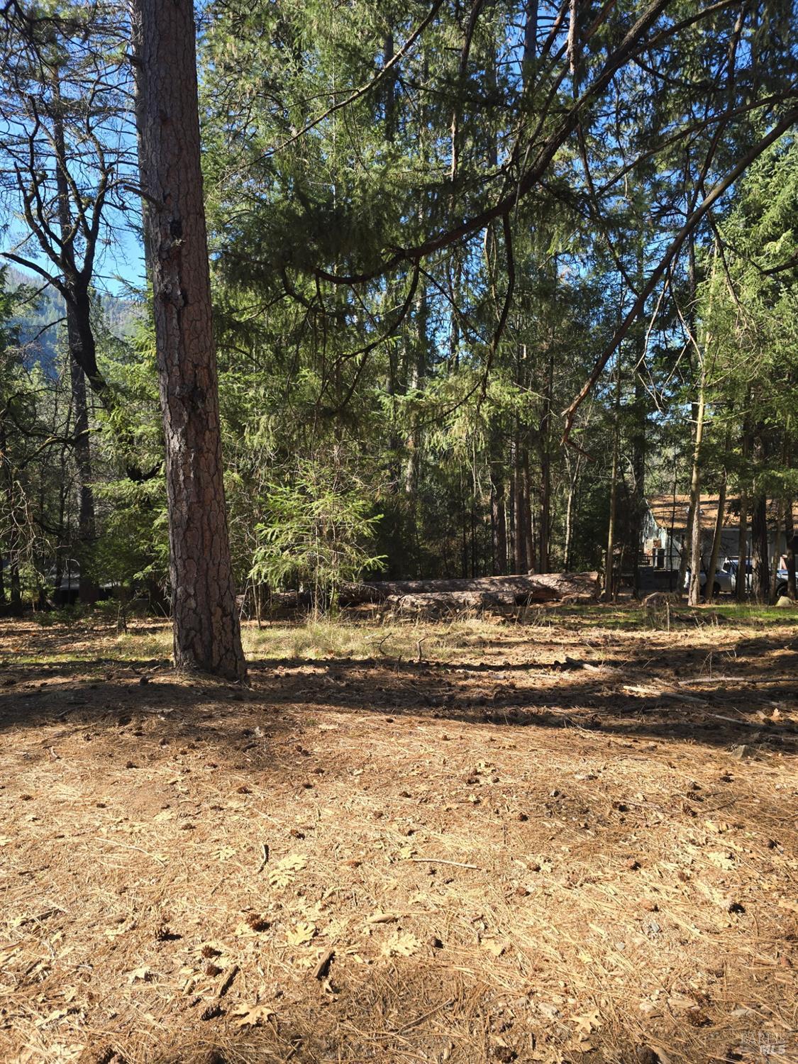 16303 Niblick Road Cobb, CA 95426 - Photo 10 of 13 a view of dirt yard with large trees