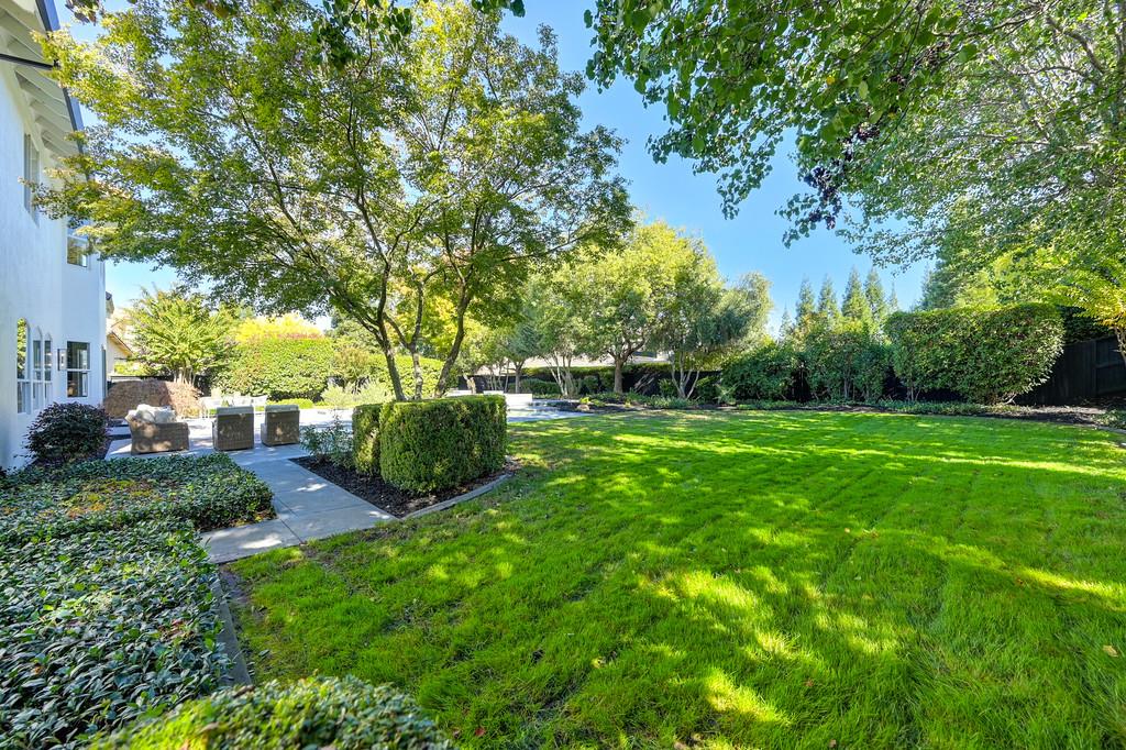 9042 Cedar Ridge Drive Granite Bay, CA 95746 - Photo 93 of 96 a view of a garden with trees