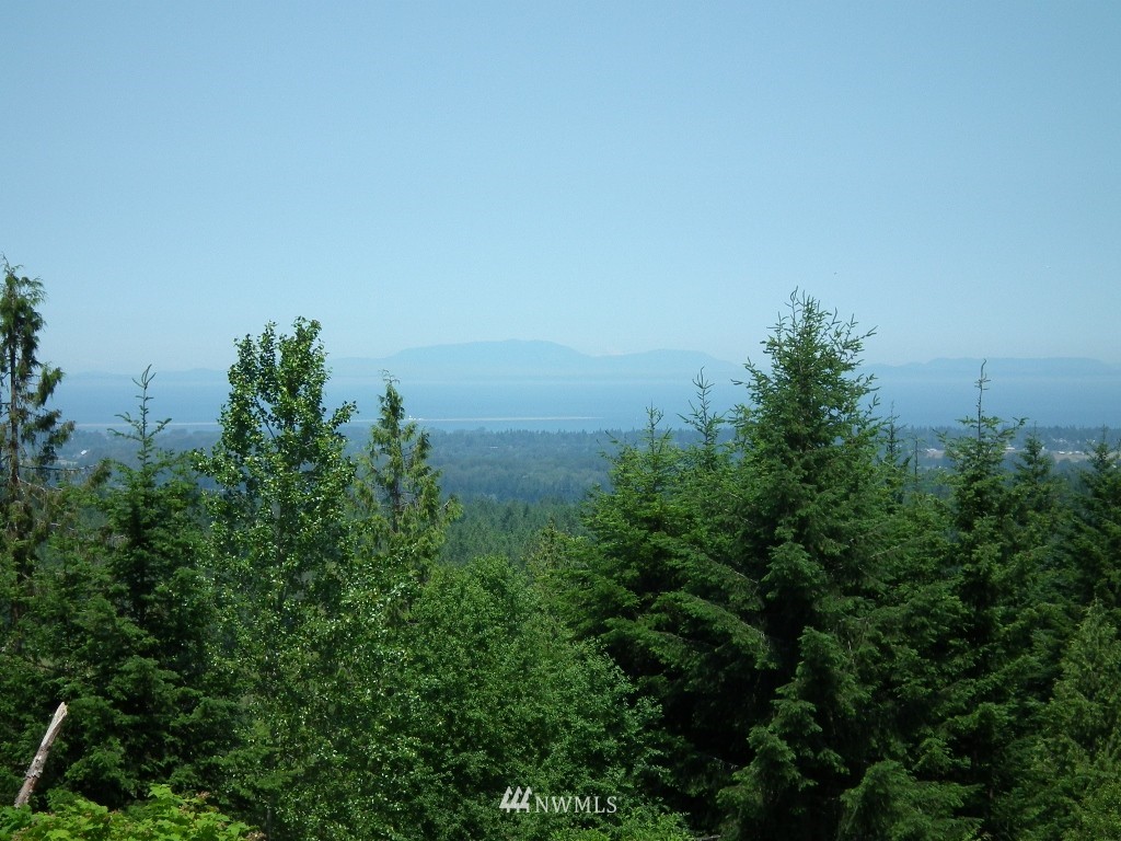 2564 Hooker Road Sequim, WA 98382 - Photo 1 of 10