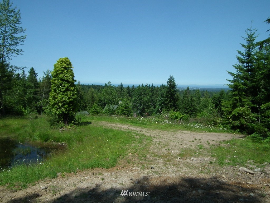 2564 Hooker Road Sequim, WA 98382 - Photo 7 of 10