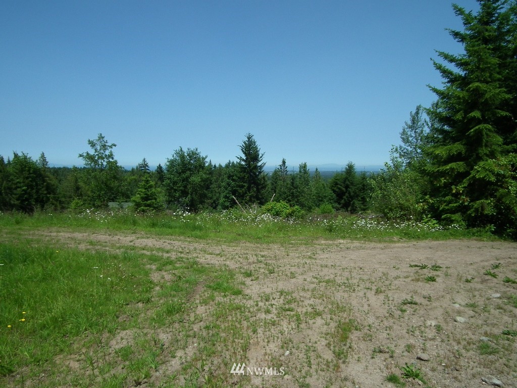 2564 Hooker Road Sequim, WA 98382 - Photo 8 of 10