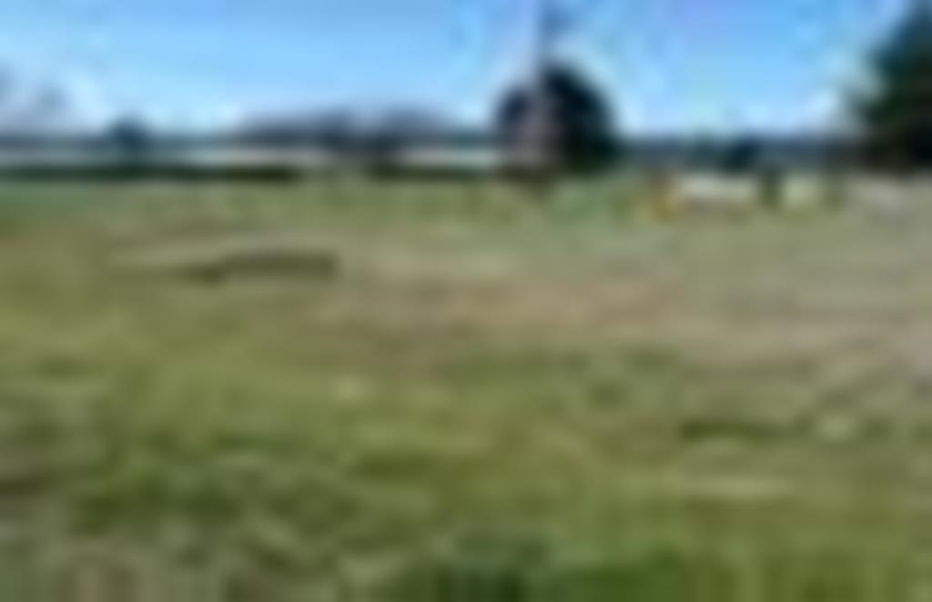 645 Hall Road Colville, WA 99114 - Photo 2 of 2