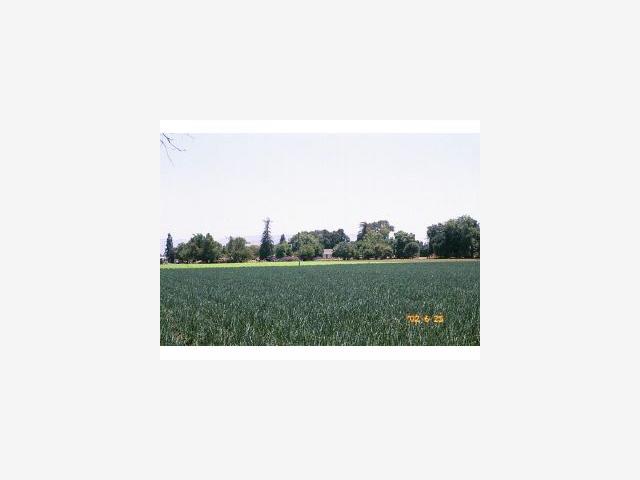 7990 Holsclaw Road Gilroy, CA 95020 - Photo 1 of 1 Gallery Image 1