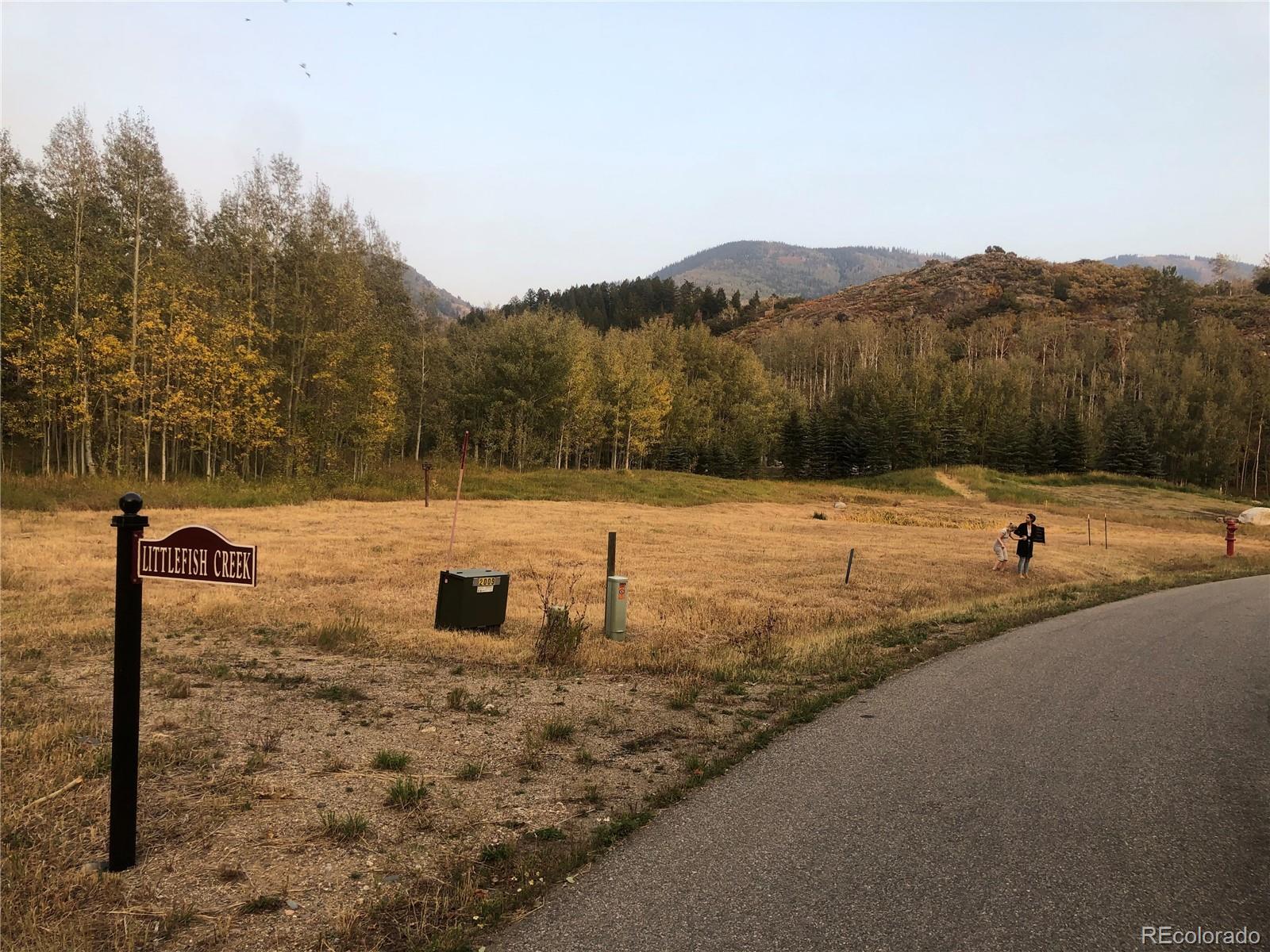 2985 Little Fish Trail Steamboat Springs, CO 80487 - Photo 11 of 19