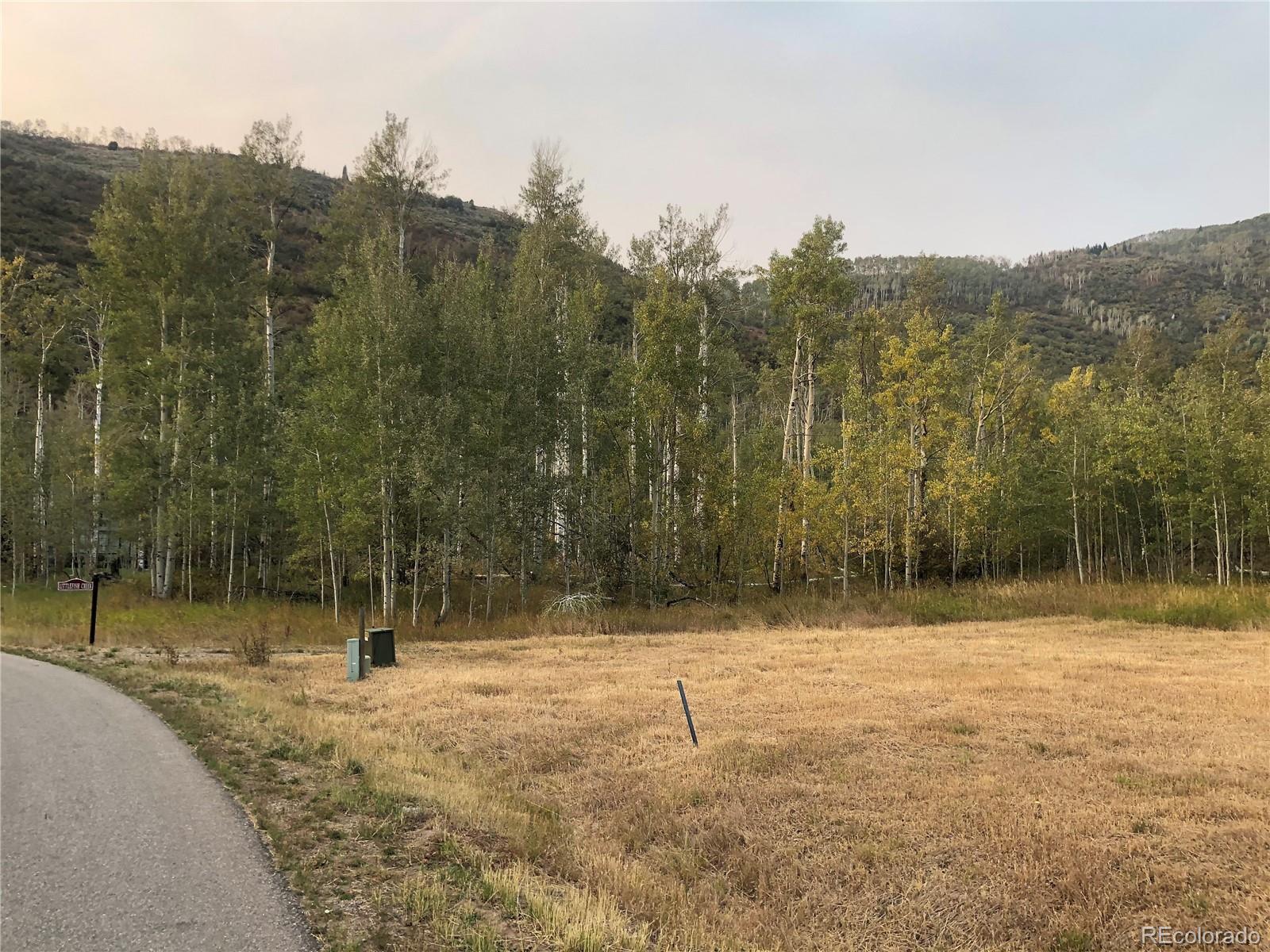 2985 Little Fish Trail Steamboat Springs, CO 80487 - Photo 12 of 19