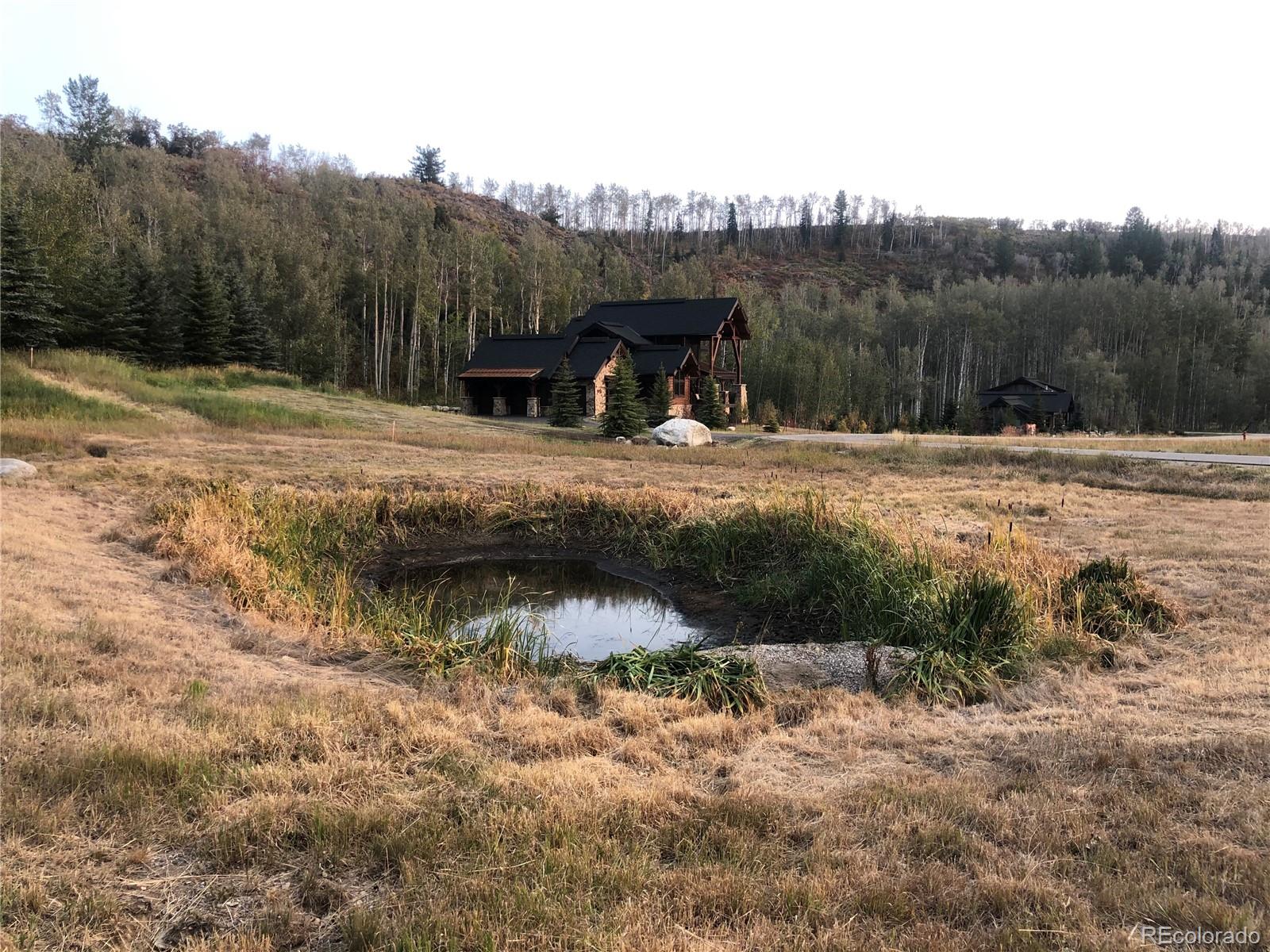 2985 Little Fish Trail Steamboat Springs, CO 80487 - Photo 14 of 19