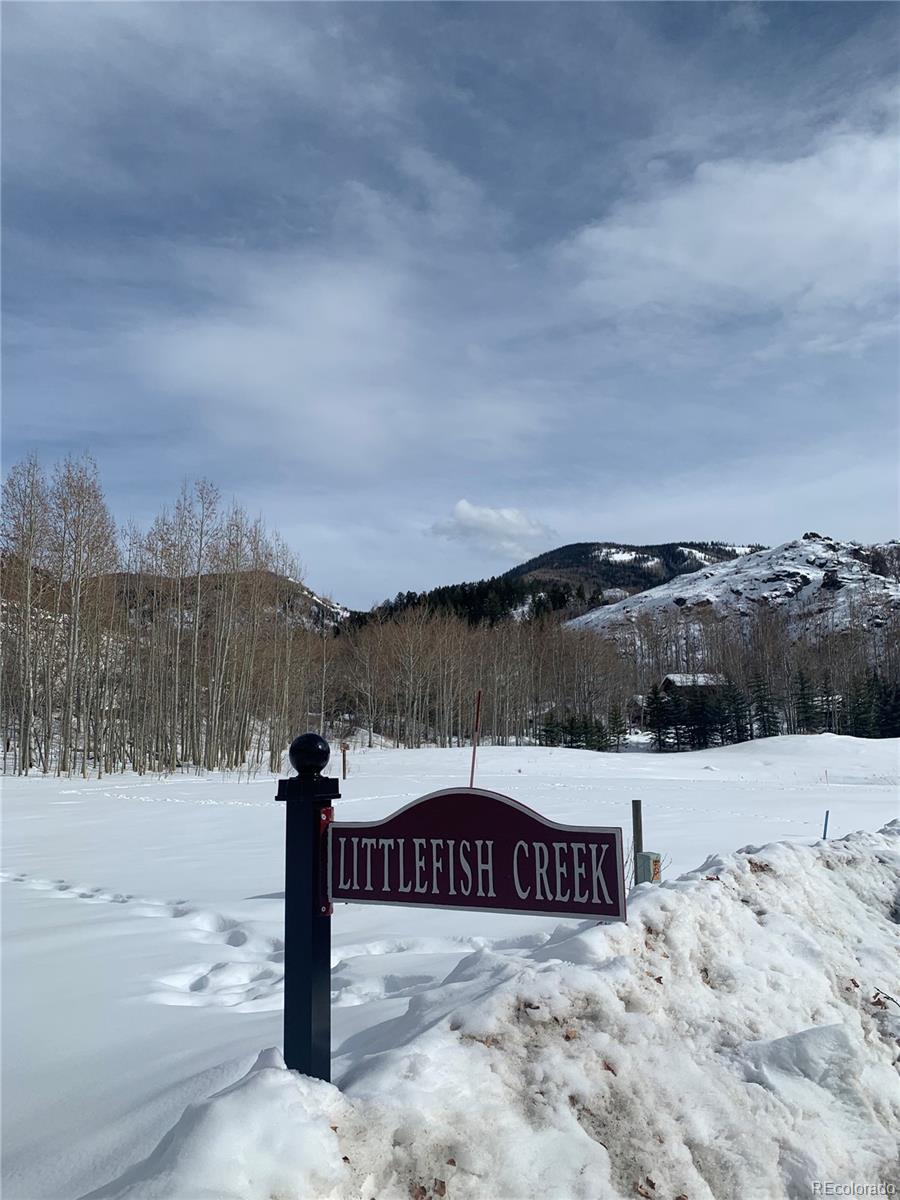 2985 Little Fish Trail Steamboat Springs, CO 80487 - Photo 16 of 19