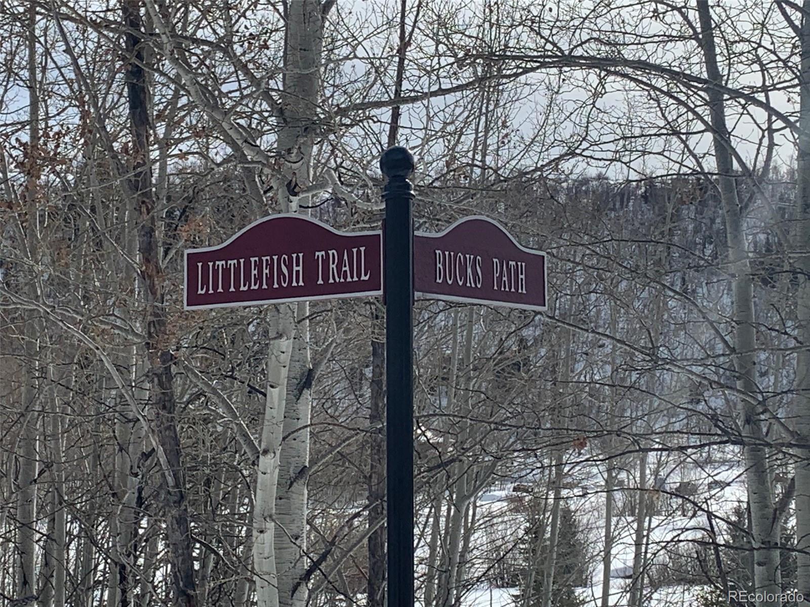 2985 Little Fish Trail Steamboat Springs, CO 80487 - Photo 18 of 19