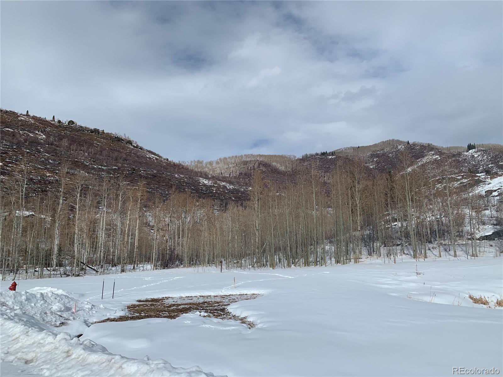 2985 Little Fish Trail Steamboat Springs, CO 80487 - Photo 7 of 19