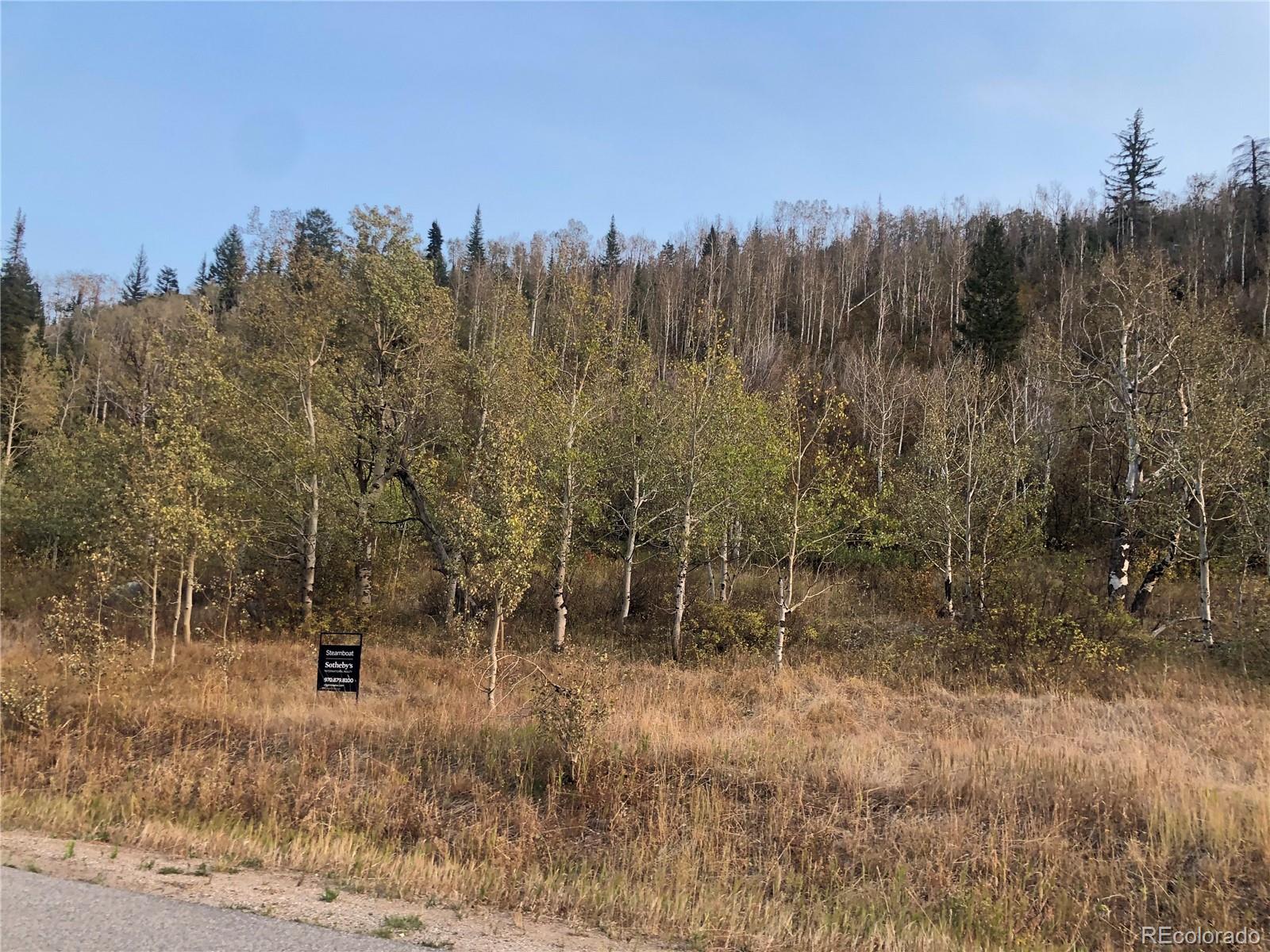 2985 Little Fish Trail Steamboat Springs, CO 80487 - Photo 8 of 19