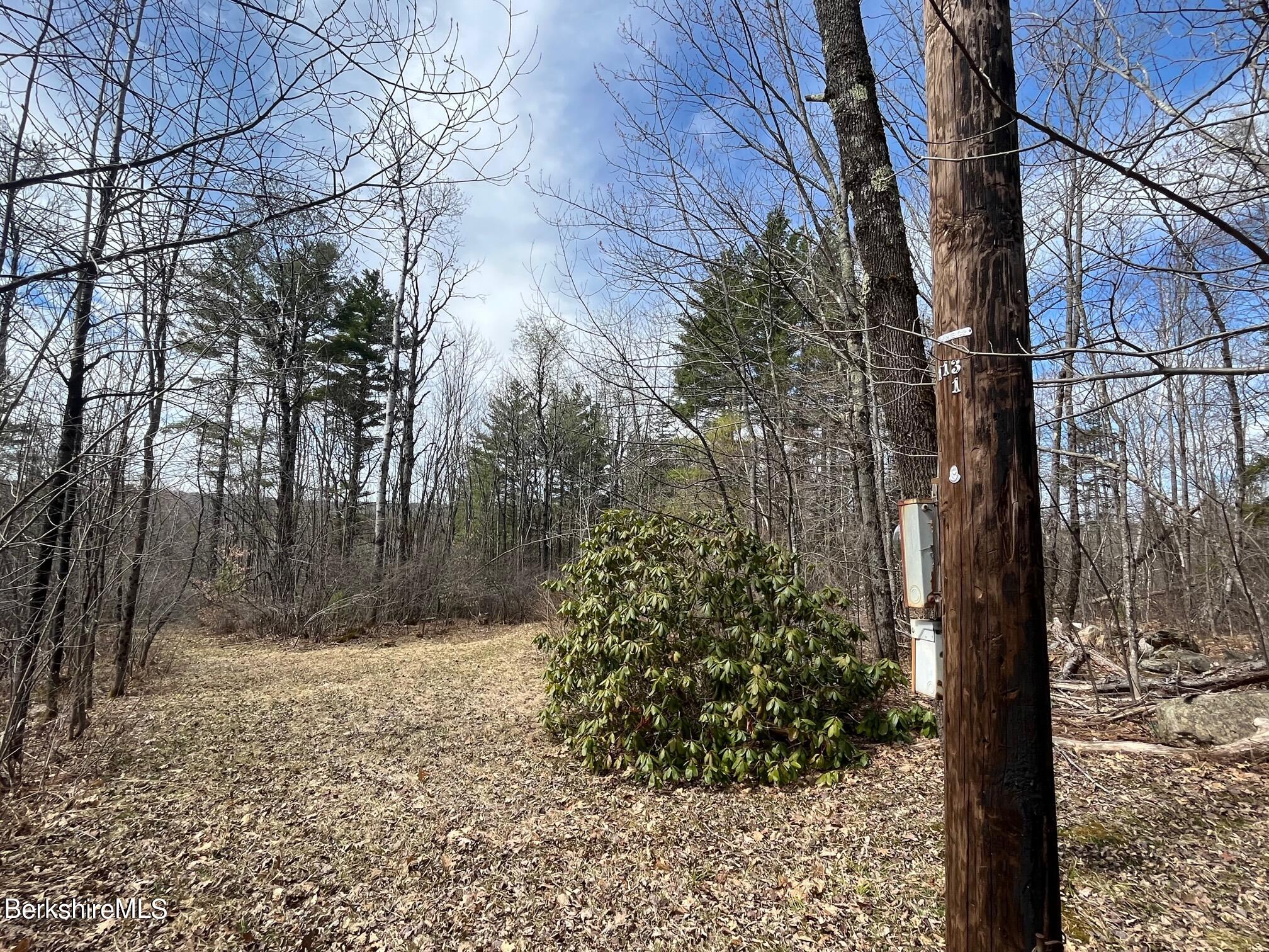 331 Shaw Road Windsor, MA 01270 - Photo 10 of 30 Winter view of land