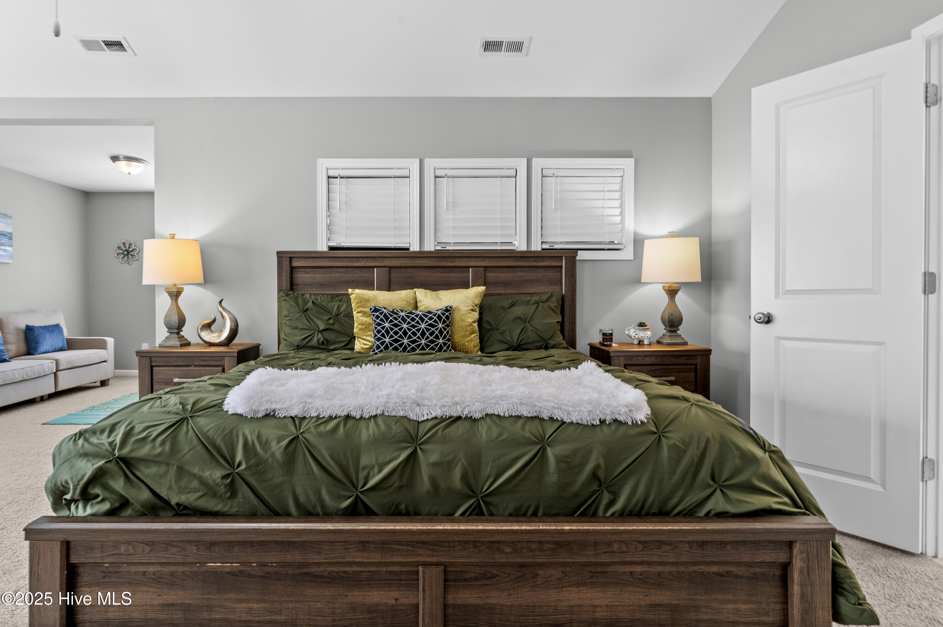 97 Violetear Ridge Hampstead, NC 28443 - Photo 21 of 44 24-DSC03215