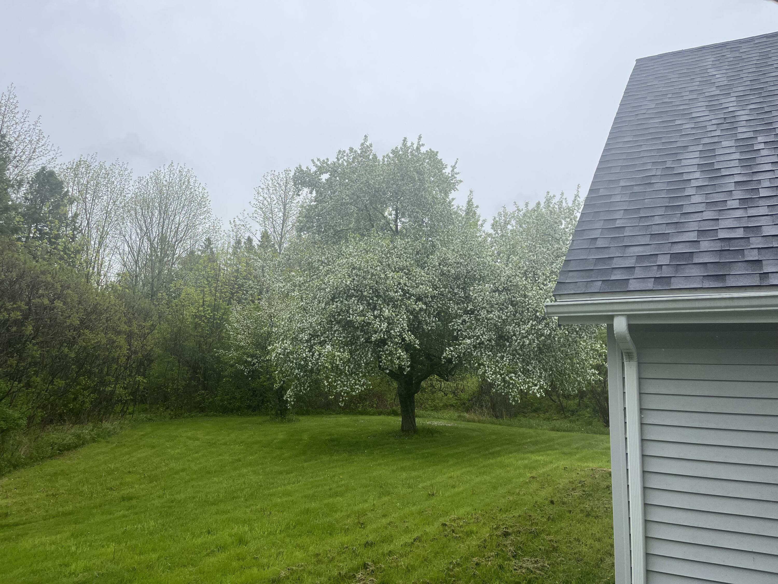 130 Miller Road Hampden, ME 04444 - Photo 54 of 60 Summer