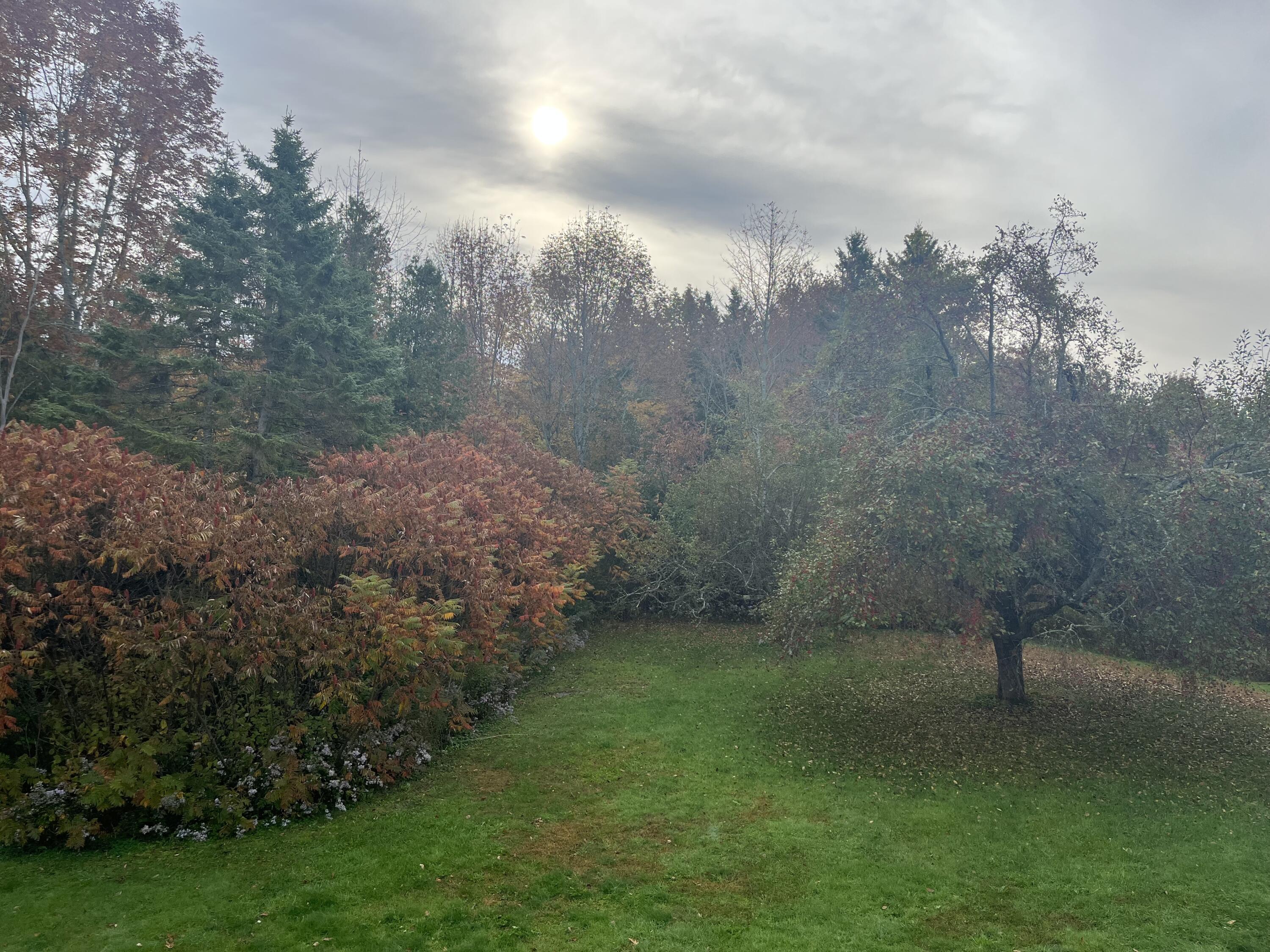 130 Miller Road Hampden, ME 04444 - Photo 56 of 60 Fall