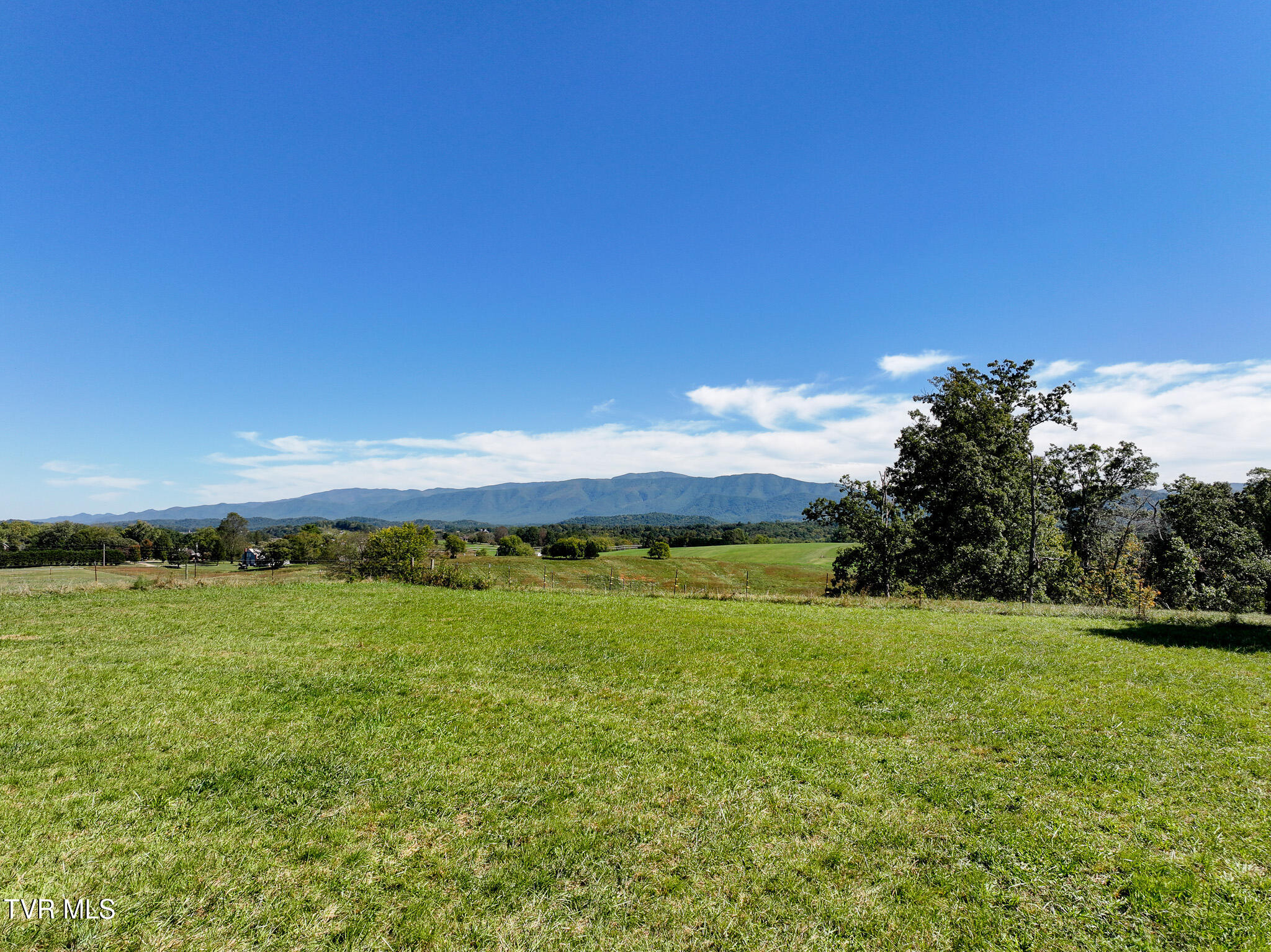 575 West Allens Bridge Road Greeneville, TN 37743 - Photo 53 of 70 DJI_20261005143626_0953_D