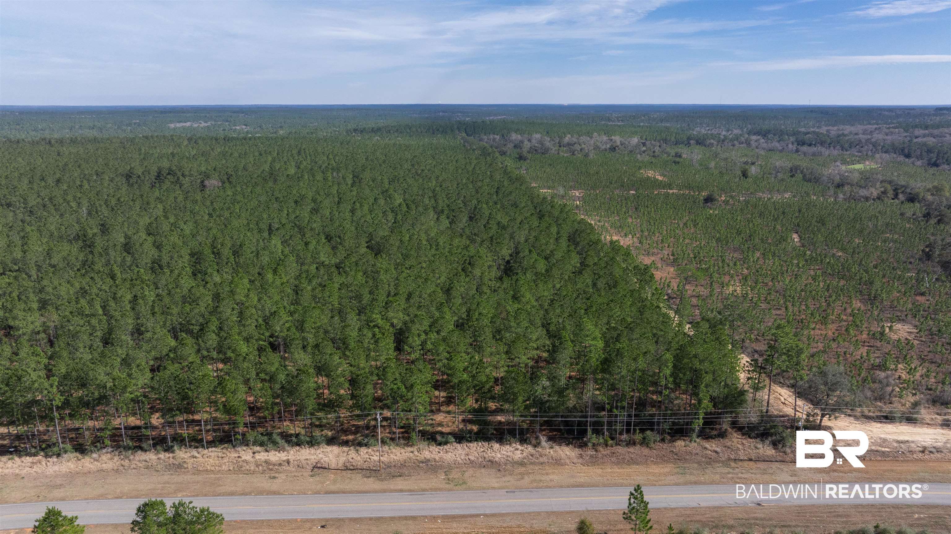 0 Cowpen Creek Road Robertsdale, AL 36567 - Photo 4 of 7