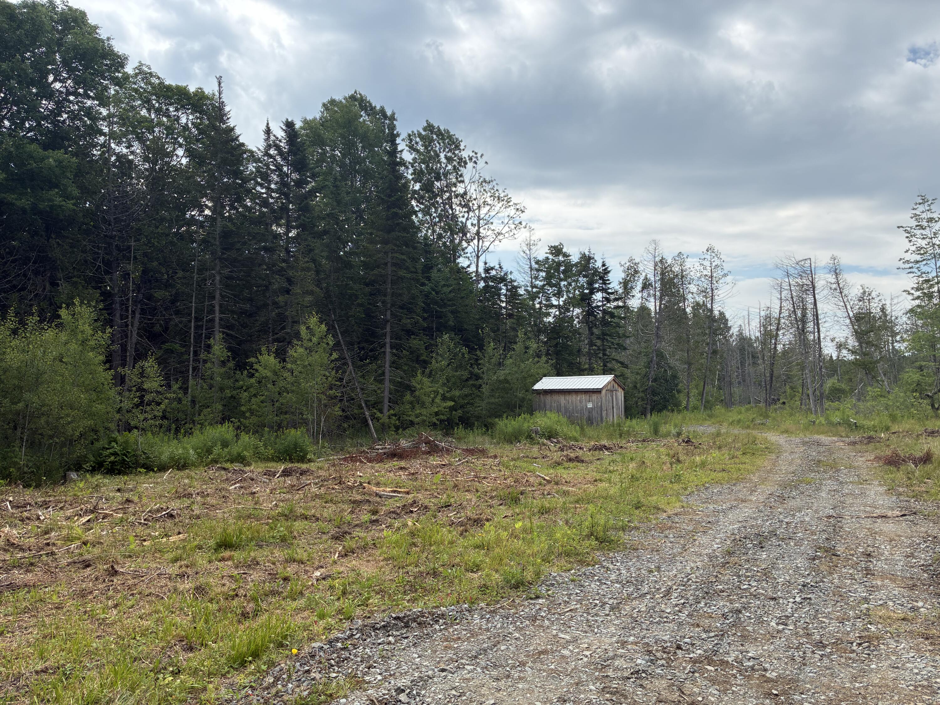 Lot 56 Gile Road Rangeley, ME 04970 - Photo 10 of 21 IMG_1523