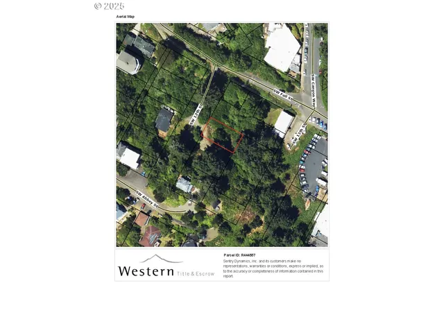 a black and white photo of a painting of a tree