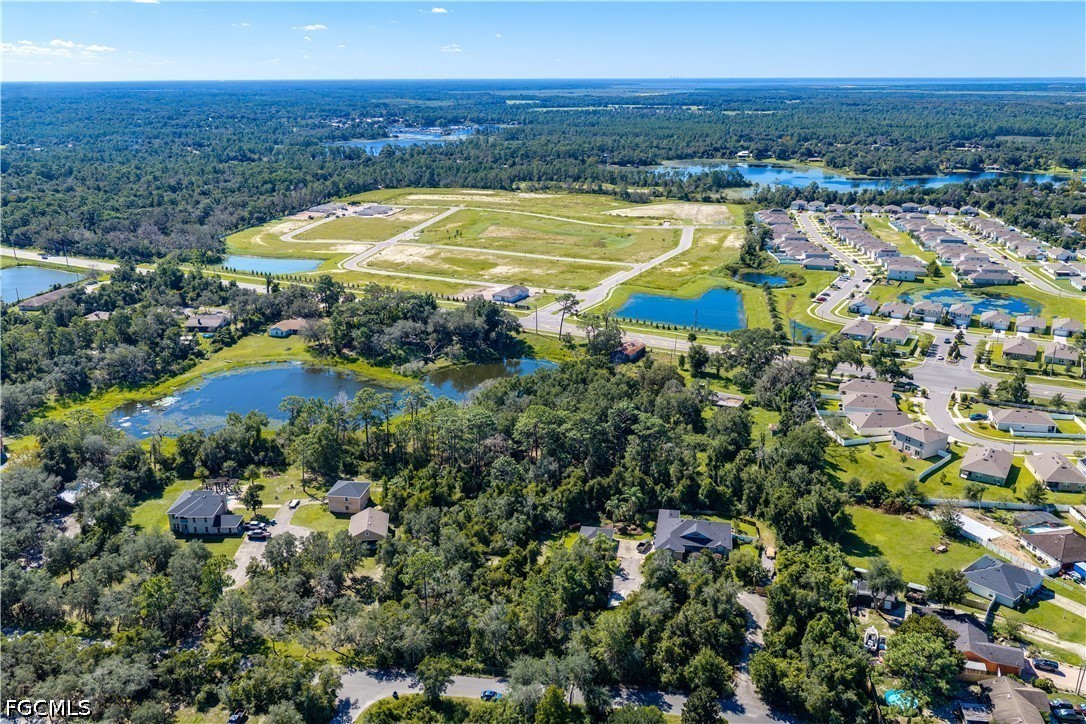 Doyle Rd Road Osteen, FL 32764 - Photo 9 of 33 Gallery Image 9