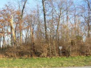 0 East Pitchin Road Springfield, OH 45502 - Photo 2 of 3