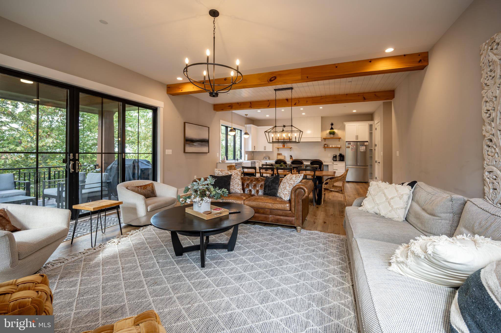 152 Ridge Run Road McHenry, MD 21541 - Photo 29 of 100 a living room with patio furniture and a potted plant