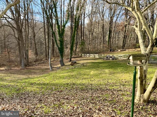 2900 Ridge Road Windsor Mill, MD 21244 - Photo 32 of 37 Rear yard