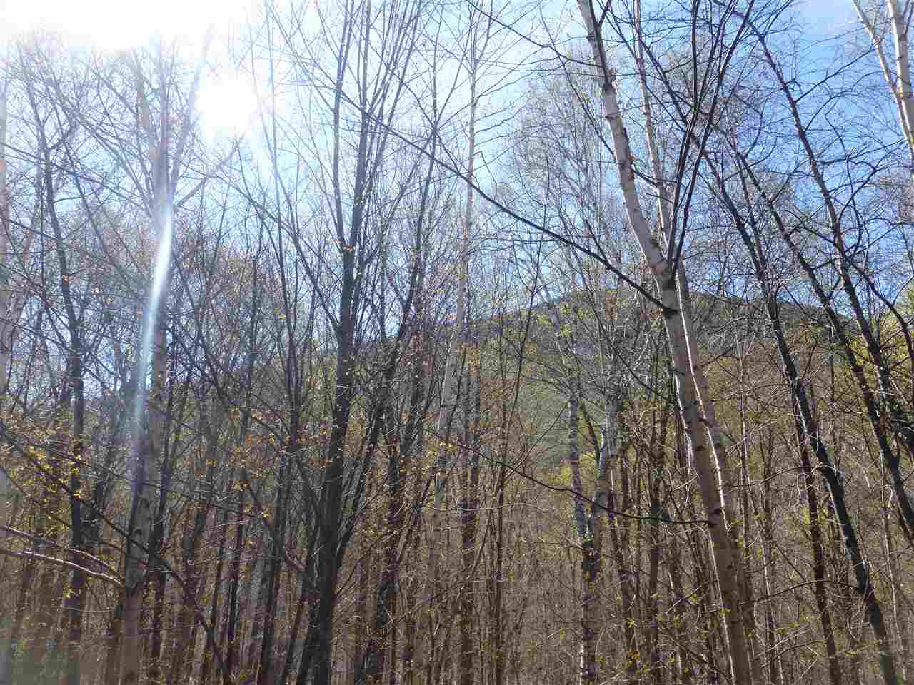 36 Easterly Road, Unit 3 Lincoln, NH 03251 - Photo 23 of 30 Gallery Image 23