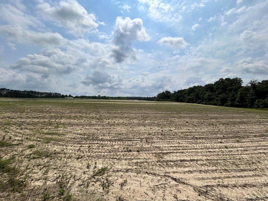 40.522-ac Cecil Varnum Road Dothan, AL 36301 - Photo 13 of 38