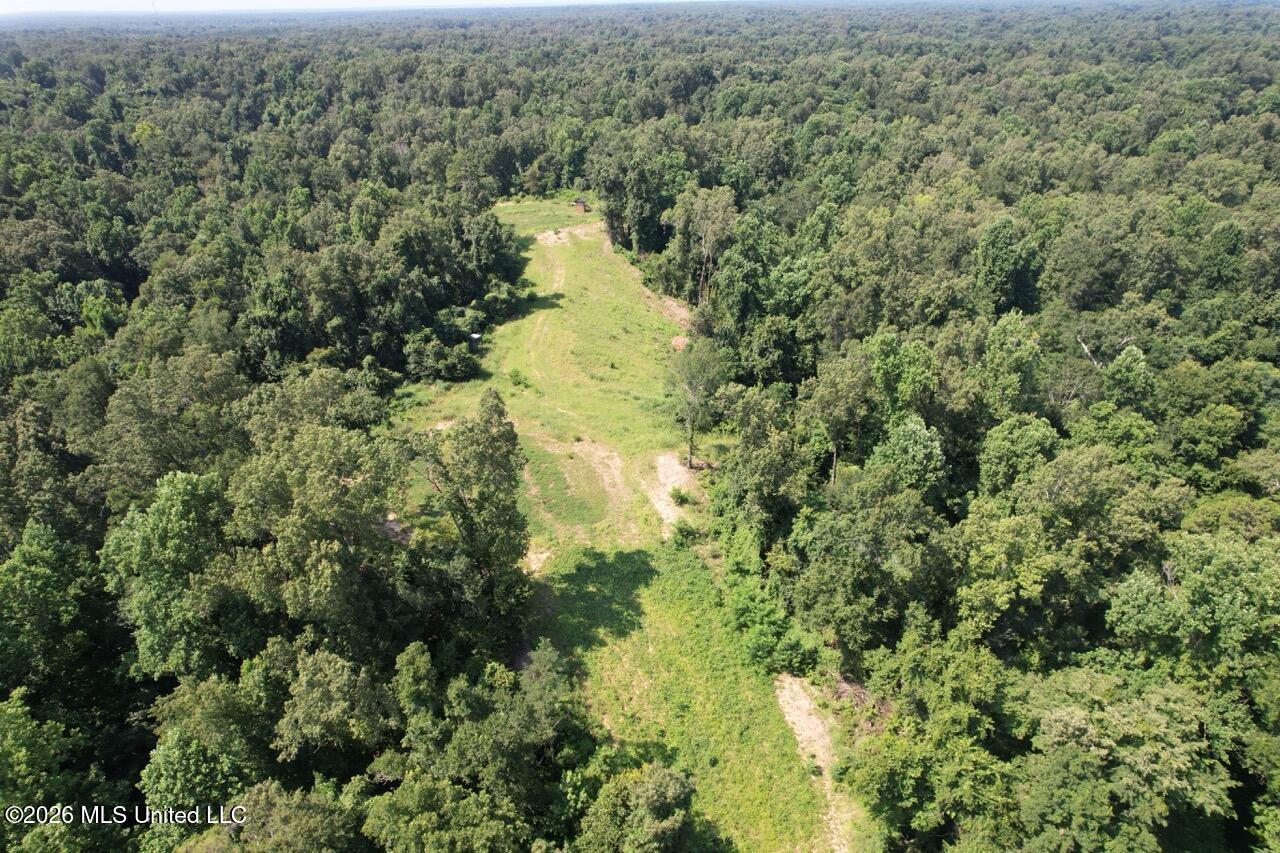 Annas Bottom Road Natchez, MS 39120 - Photo 13 of 48 DJI_0420 Large