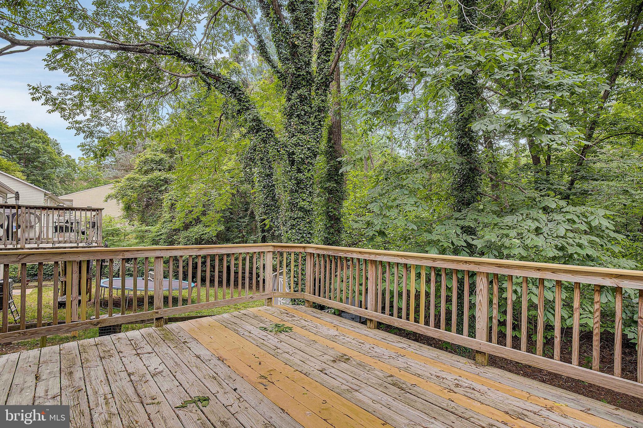 12111 Gringo Road Lusby, MD 20657 - Photo 54 of 57