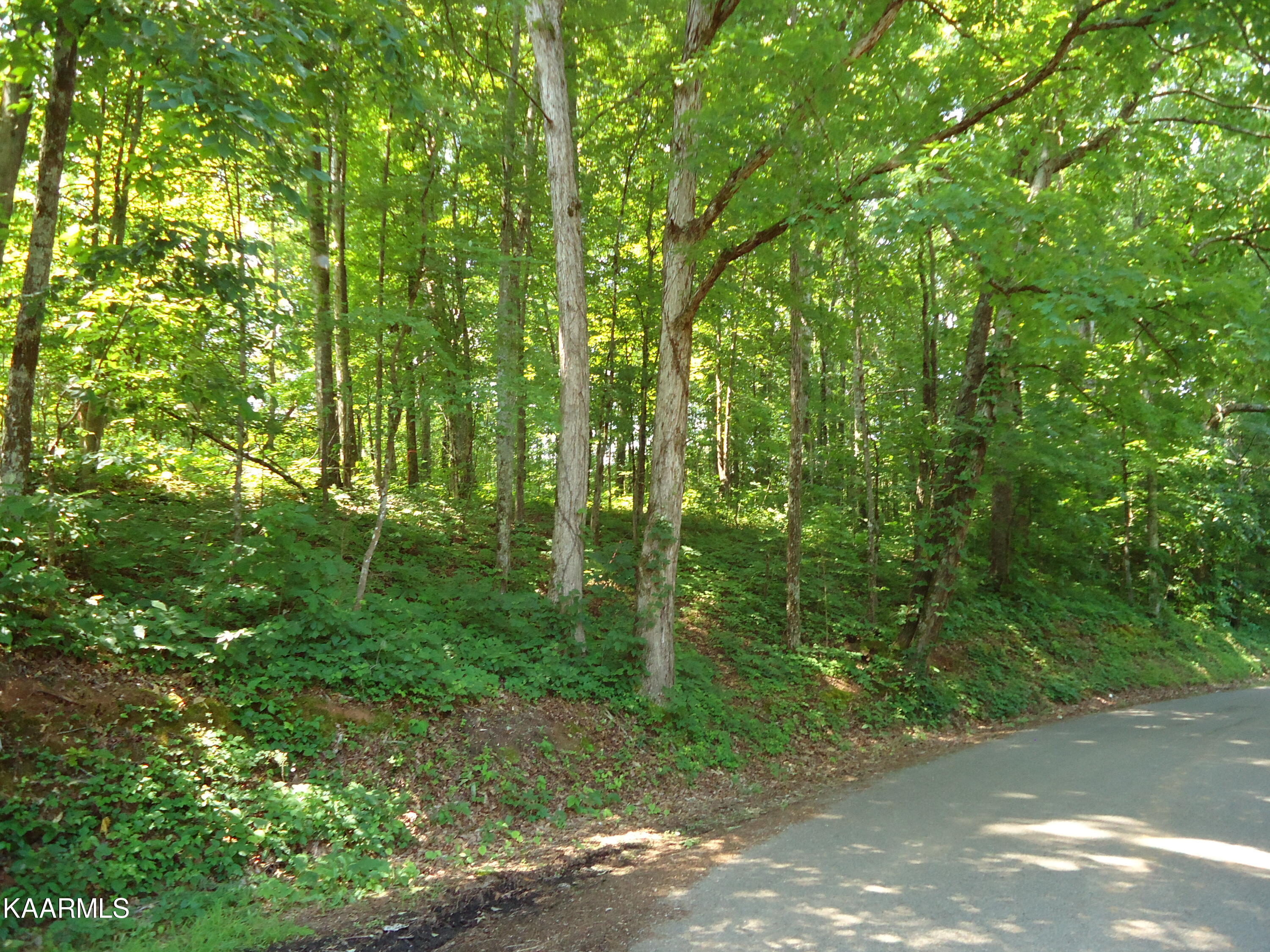 0 Federal Road Madisonville, TN 37354 - Photo 3 of 11 DSC02758