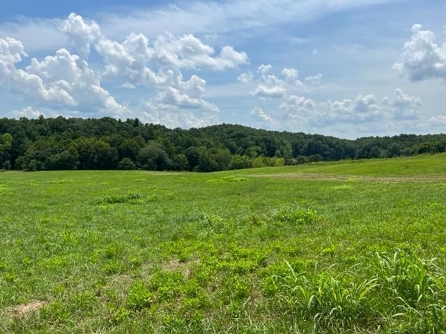 South Fork Road Appomattox, VA 24522 - Photo 2 of 5 Gallery Image 2