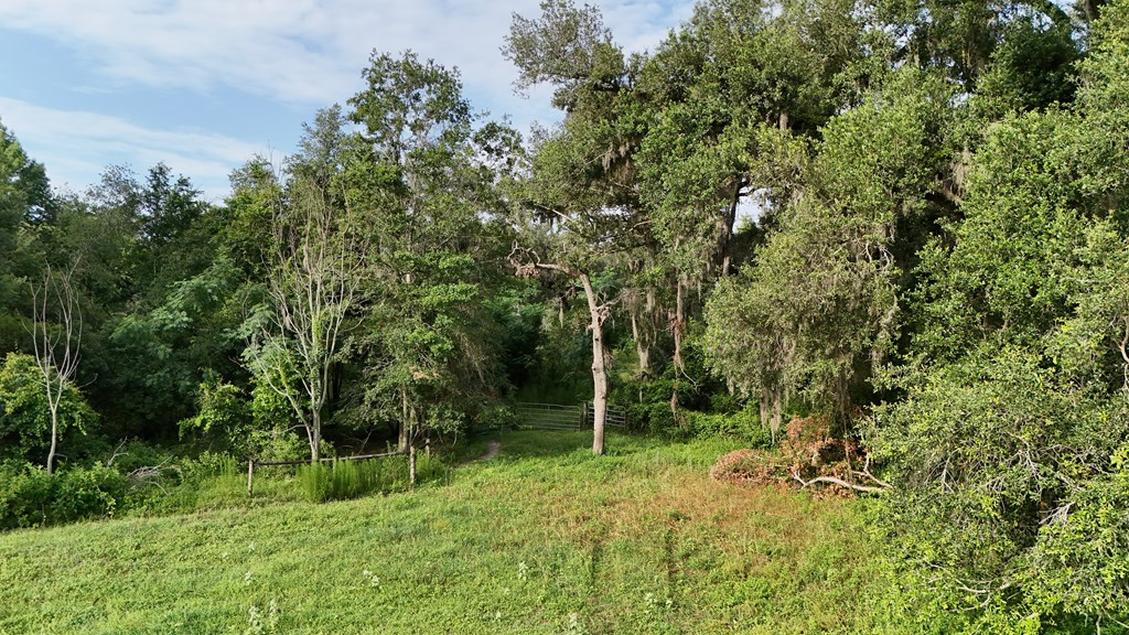 Vacant 145th Road Live Oak, FL 32060 - Photo 29 of 42