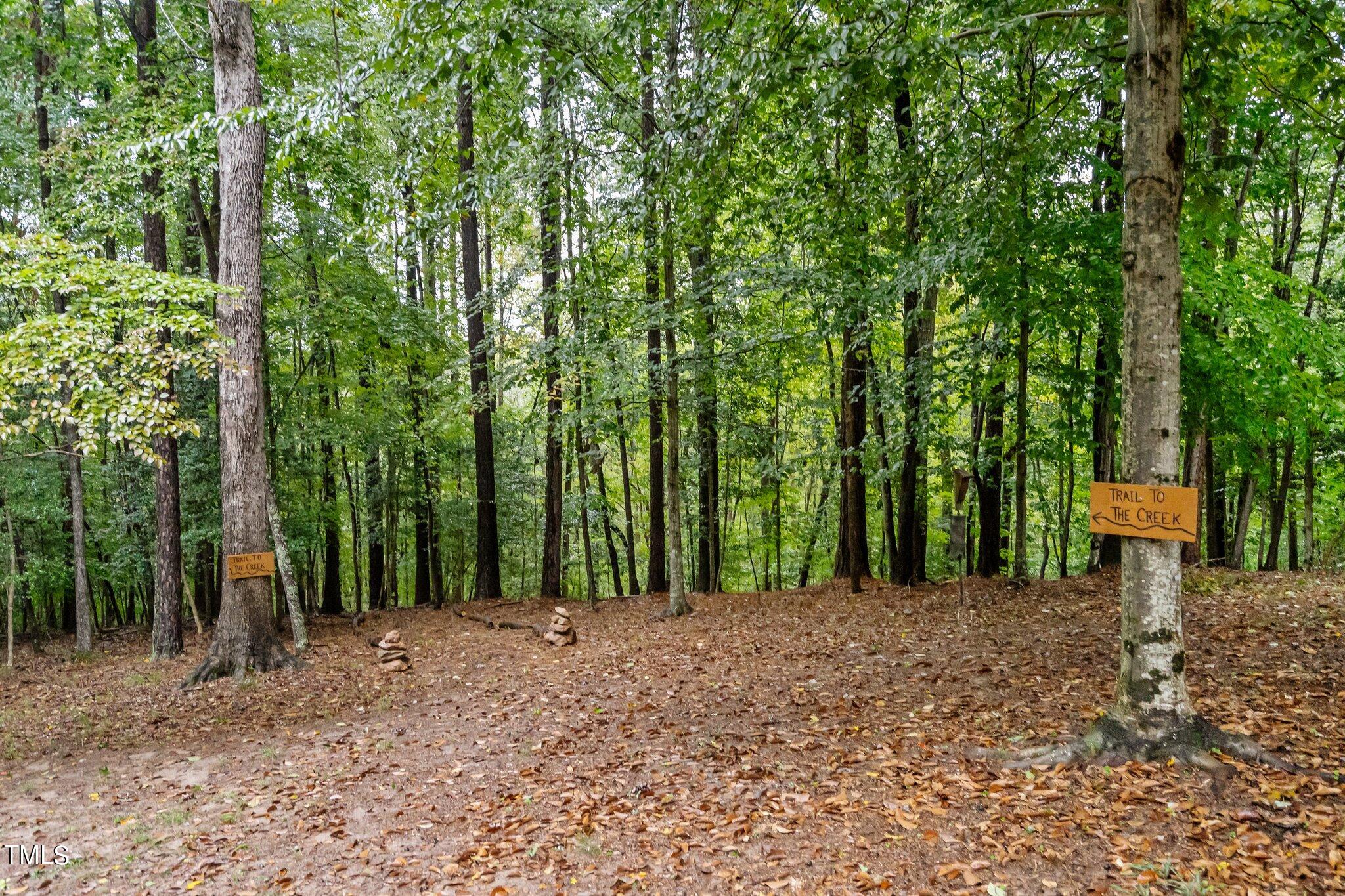 12012 Peed Road Raleigh, NC 27614 - Photo 35 of 48 a view of a backyard with trees