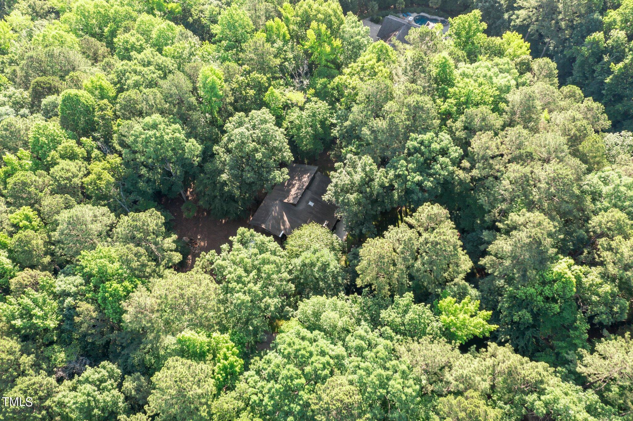 12012 Peed Road Raleigh, NC 27614 - Photo 39 of 48 a plant view