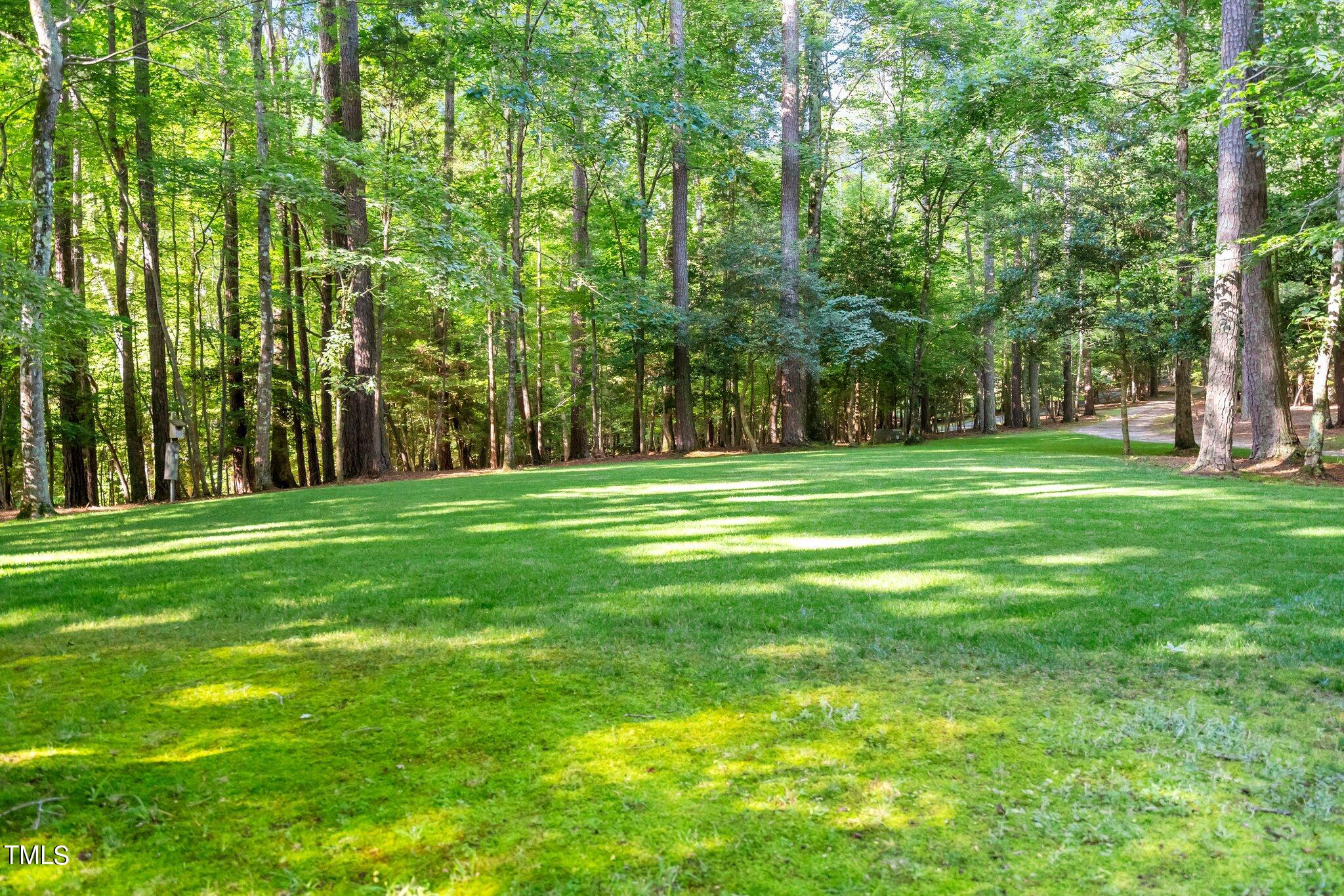 12012 Peed Road Raleigh, NC 27614 - Photo 6 of 48 a grassy field with trees in the background
