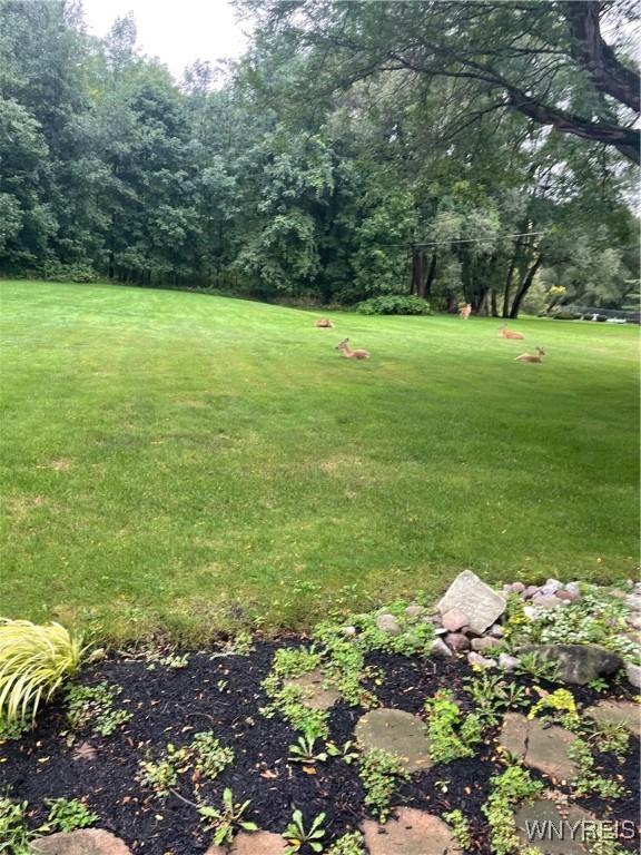 9005 Cliffside Drive Clarence, NY 14031 - Photo 44 of 45