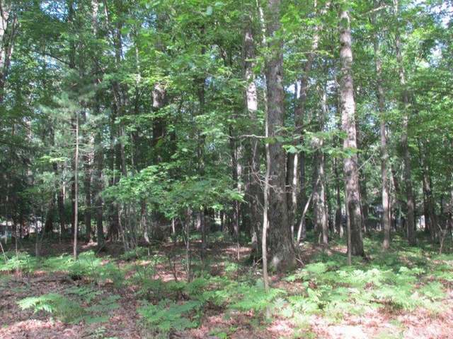 Lot 39 Cherry Drive Rhinelander, WI 54501 - Photo 2 of 4 Gallery Image 2