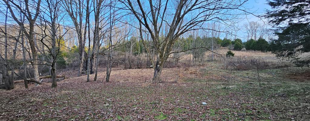 1284 Purcell Road, Unit 16 Lebanon, VA 24266 - Photo 44 of 67 Gallery Image 44
