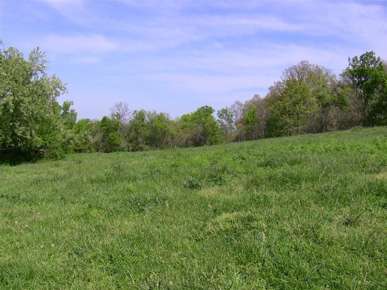 320 Cox-Howard Road Versailles, KY 40383 - Photo 10 of 12 Photo 10