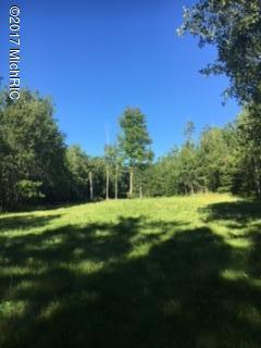 22000 Behring Road Hillman, MI 49746 - Photo 12 of 19 IMG_2549