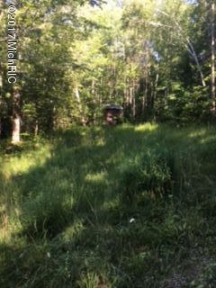 22000 Behring Road Hillman, MI 49746 - Photo 14 of 19 IMG_2551