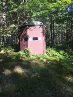 22000 Behring Road Hillman, MI 49746 - Photo 15 of 19 IMG_2553