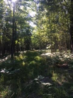 22000 Behring Road Hillman, MI 49746 - Photo 16 of 19 IMG_2554