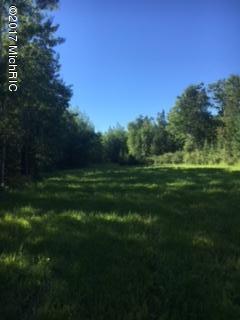 22000 Behring Road Hillman, MI 49746 - Photo 8 of 19 IMG_2545